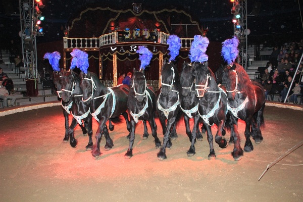 Circus Barelli   127.jpg